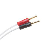 QED XT25 PRE-TERM SPEAKER CABLE - 3M (QE1462)