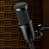 Audio-Technica AT2020