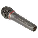 Audio-Technica AE4100