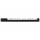 Arturia MicroLab - Black