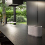 Harman Kardon Citation 300 - Grey