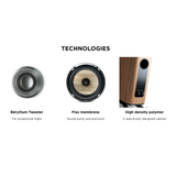 Focal KANTA 1 Walnut High Gloss / Ivory Mat
