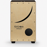 Roland EC10