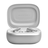JBL Live Flex 4 Silver