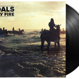 Foals - Holy Fire [LP]