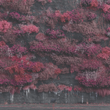 Sleep Token - Even In Arcadia [2LP]