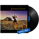Pink Floyd - A Collection Of Great Dance Songs [LP]