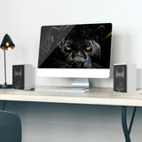 Laudberg XS1B 2.0 Bluetooth Computer Speakers - Black