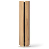 Bang & Olufsen Beosound Emerge Gold Tone Alu/Light Oak