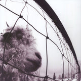 Pearl Jam - VS. (Anniversary Edition) [LP]