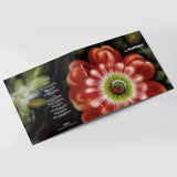 Тріо Маренич - Тріо Маренич (Limited Edition) [LP] - Colored