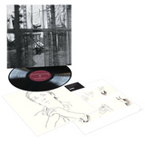 Paul McCartney - Chaos And Creation In The Backyard [LP]