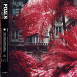 Foals - Everything Not Saved Will Be Lost: Part 1 [LP]