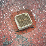 Marshall Willen II - Cream