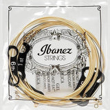 IBANEZ IACS61C ACOUSTIC GUITAR STRING 10-47