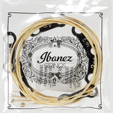 IBANEZ IACS6C ACOUSTIC GUITAR STRING 12-53