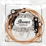IBANEZ IACSP62C ACOUSTIC GUITAR STRING 11-52