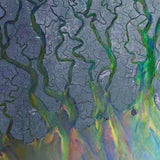 Alt-J - An Awesome Wave [LP]