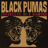 Black Pumas - Chronicles of a Diamond [LP] - Clear Vinyl