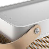Bang & Olufsen Beolit 20 - Grey Mist