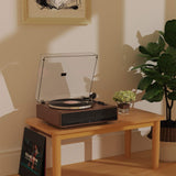 1 by ONE H009 - Walnut
