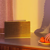 Bang & Olufsen Beosound Level - Gold Tone Alu (Cover Light Oak)