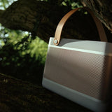 Bang & Olufsen Beolit 20 - Grey Mist