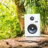 Monkey Banana Gibbon 5 - White