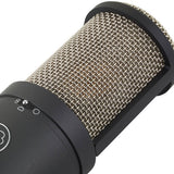 AKG P420
