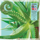 LATEXFAUNA - Ajahuaska. Season 1/2 (Remastered)  [2LP] - Signed