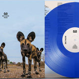 Balthazar - Fever [LP] - Blue