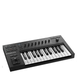 Native Instruments Komplete Kontrol A25