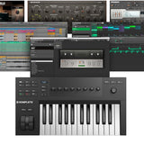 Native Instruments Komplete Kontrol A25