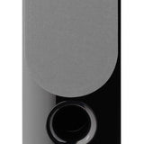 Focal Chora 816 Black. Light Wood. Dark Wood
