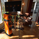 Focal SOPRA 2 Macassar Ebony