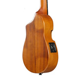 IBANEZ AUC10E OPN