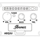 IBANEZ AUC10E OPN