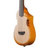 IBANEZ AUC10E OPN