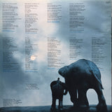 Epidemics : Shankar / Caroline - The Epidemics [LP]