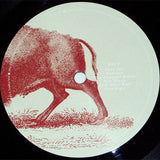 Foo Fighters – In Your Honor [2LP]