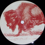 Foo Fighters – In Your Honor [2LP]