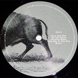 Foo Fighters – In Your Honor [2LP]