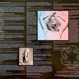 Britney Spears - In The Zone [LP]