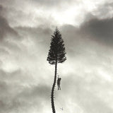 Manchester Orchestra - A Black Mile to the Surface [2LP] - Silver