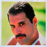 Freddie Mercury - Mr. Bad Guy (Special Edition Includes Download Card) [LP]