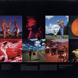 Chemical Brothers - Dig Your Own Hole [2LP]