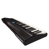 Roland GO:PIANO
