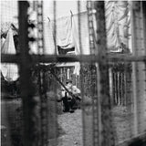 Paul McCartney - Chaos And Creation In The Backyard [LP]