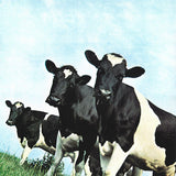 Pink Floyd - Atom Heart Mother [LP]