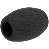 Sennheiser MZW 1